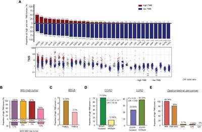 Identification of tumor mutation burden-associated molecular and clinical features in cancer by analyzing multi-omics data